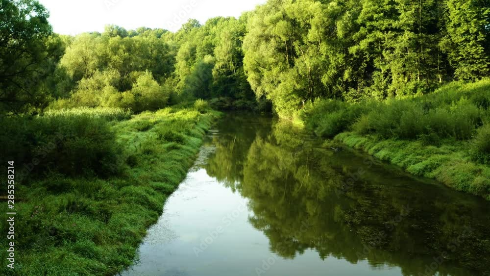Flooded forest with pond and swamp Flooded forest with pond and swamp