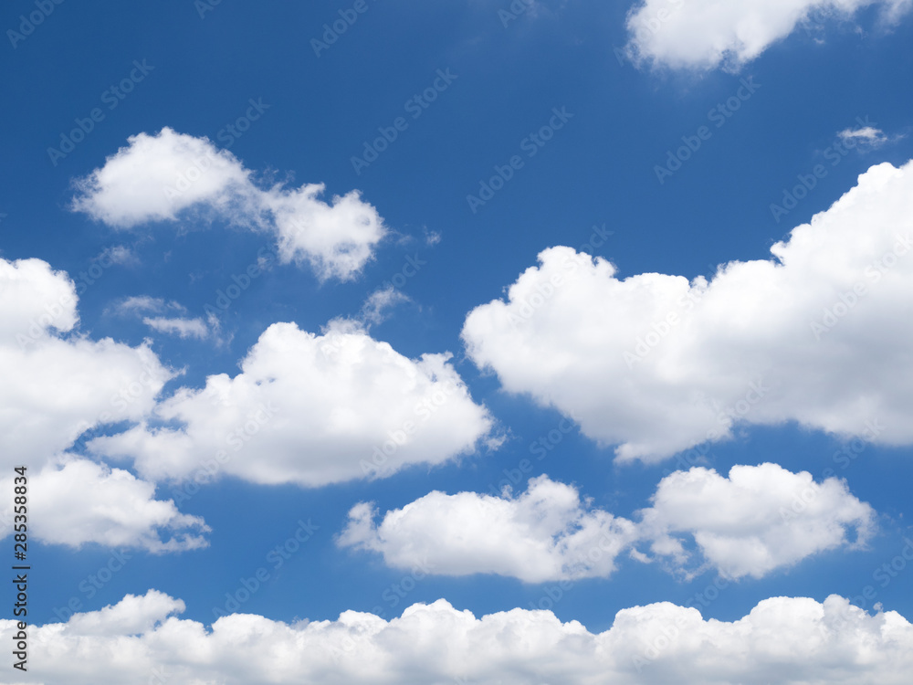 Fototapeta premium 東京の夏空