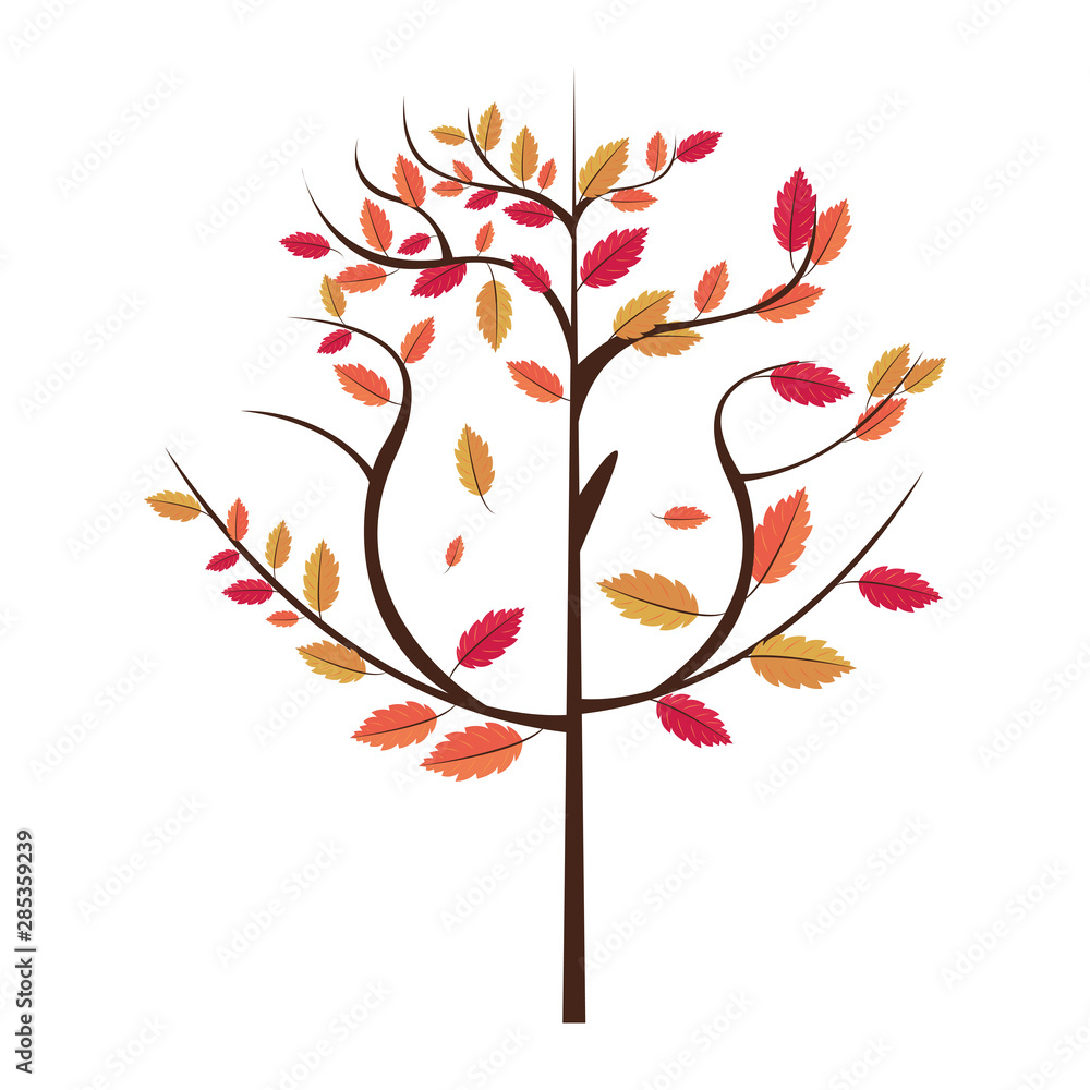 Fototapeta premium Autumn season leaves bouquet cartoon