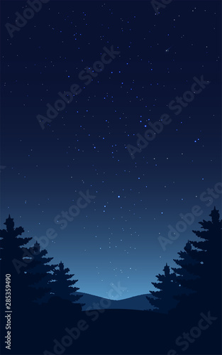 Night sky landsacape. Forest at night and star on sky.