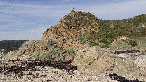 Landscape of rocky beach and nature