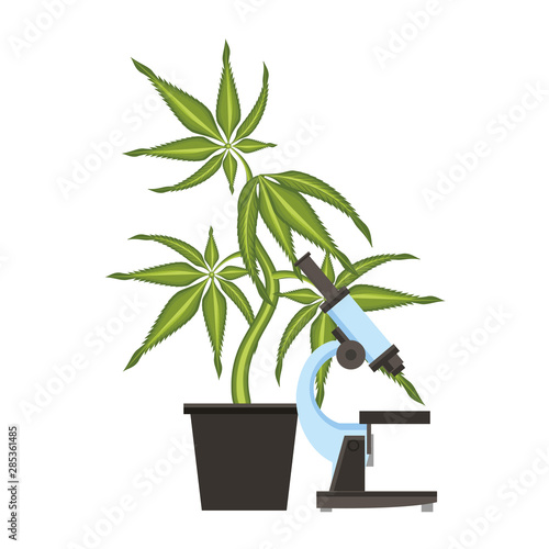 cannabis martihuana sativa hemp cartoon