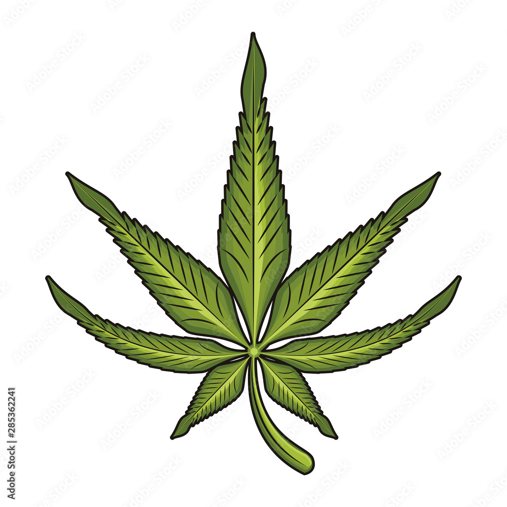 cannabis martihuana sativa hemp cartoon cannabis martihuana sativa hemp cartoon