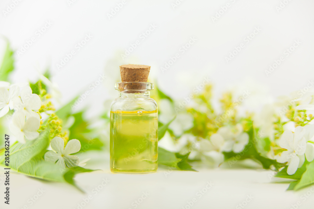 Essence of flowers on white background in beautiful glass jar Essence of flowers on white background in beautiful glass jar