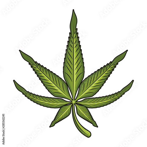 cannabis martihuana sativa hemp cartoon