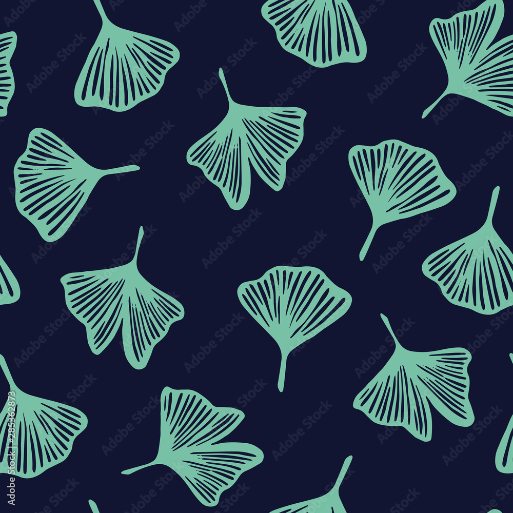 Vector Illustration ginkgo biloba leaves. Vector Illustration ginkgo biloba leaves.