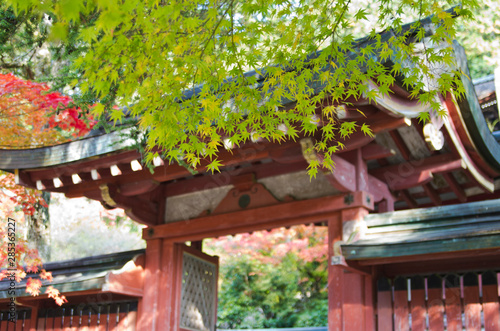 Scenery around Jingoji Temple in Kyoto,Japan.
