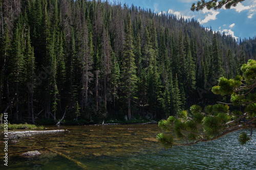 lake in forest