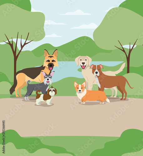 group of dogs pets in the camp characters