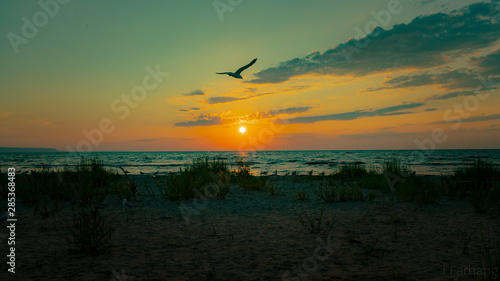 Sunset at the beach © farzin