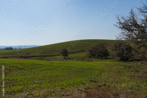 Farms in southern South America 04