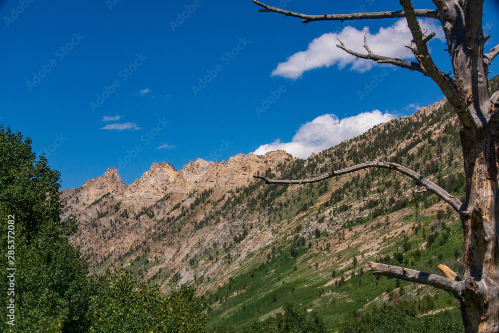 Obraz premium Ruby Mountains from Lamoille Canyon