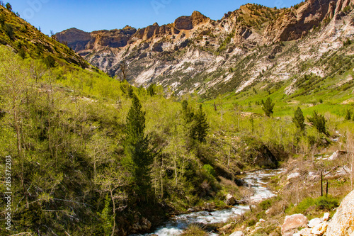 Grainite Peaks of the Ruby Mountains and Lamoille Creek photo