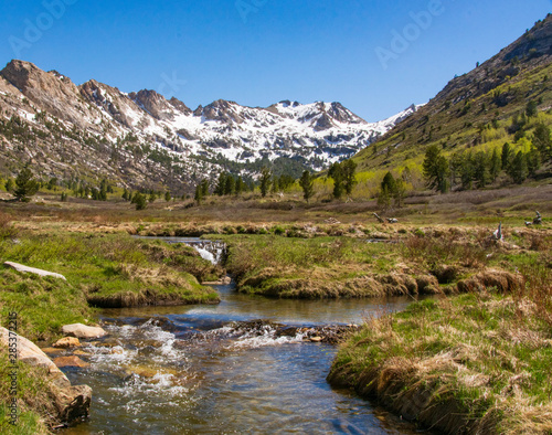 Fototapeta Naklejka Na Ścianę i Meble -  Melted Snow from the Ruby Mountains Flows Down Lamoille Creek