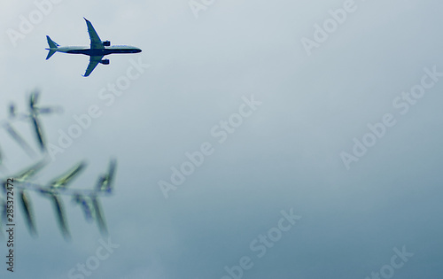 Wallpaper Mural Flight entering Torontodigital.ca