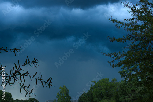 Wallpaper Mural Raging Torontodigital.ca
