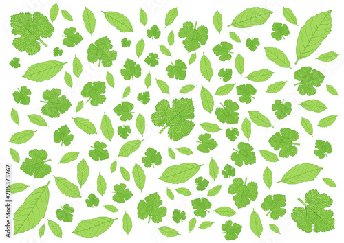 Leaves Green pattern on white background illustration and many leaves fresh 