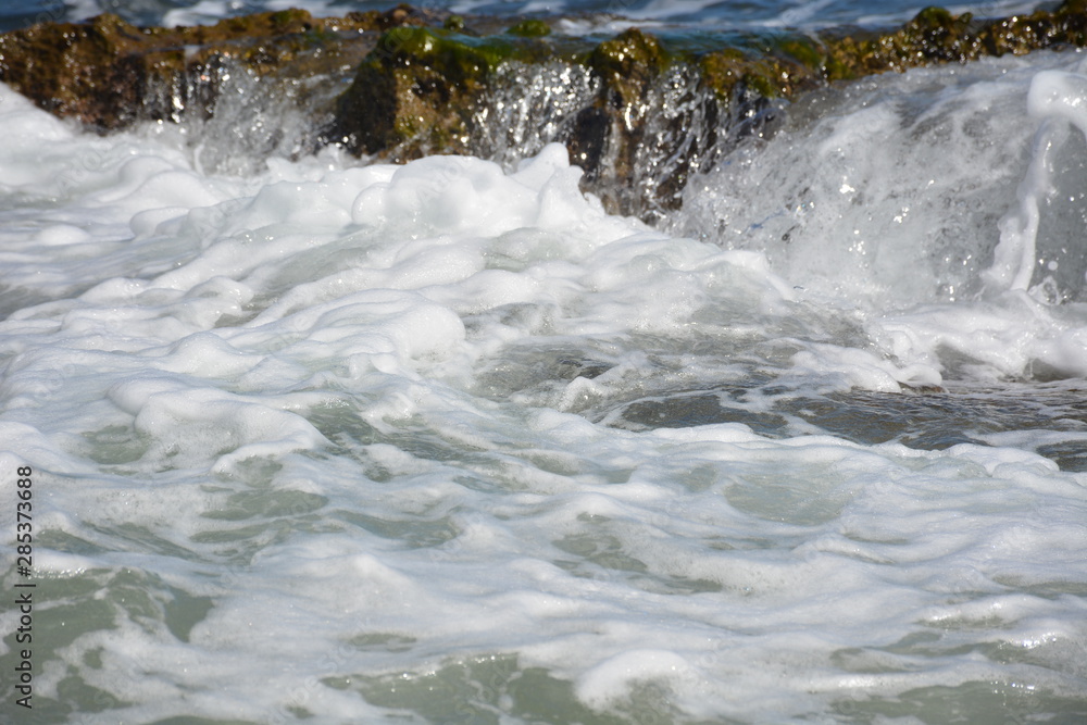 Coral Reef Ocean Foam Coral Reef Ocean Foam