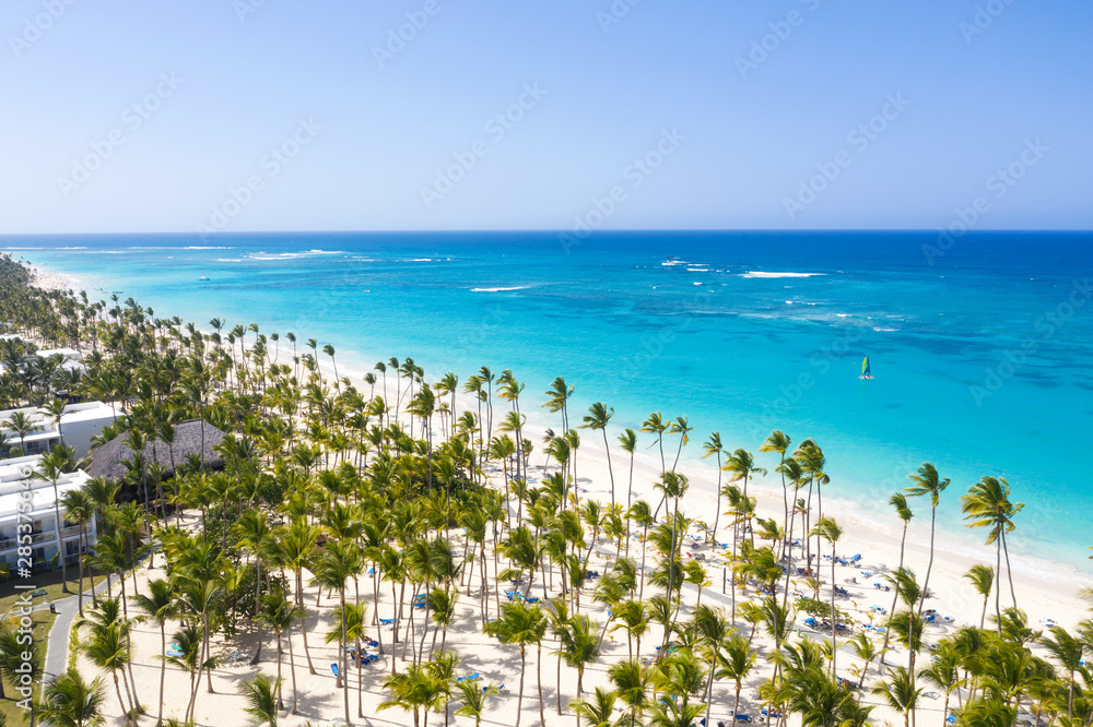 Aerial view from drone on tropical seashore with coconut palm trees and caribbean sea