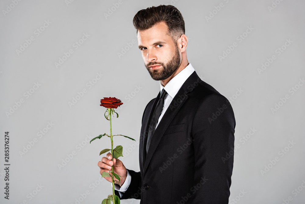 elegant bearded businessman in black suit with red rose isolated on grey elegant bearded businessman in black suit with red rose isolated on grey
