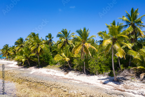 Aerial view on tropical island with coconut palm trees and turquoise caribbean sea