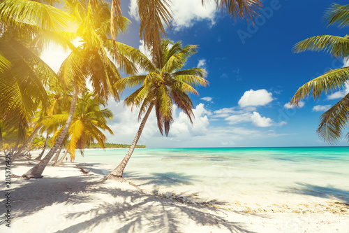 Fototapeta Naklejka Na Ścianę i Meble -  White sandy beach with sea and palms