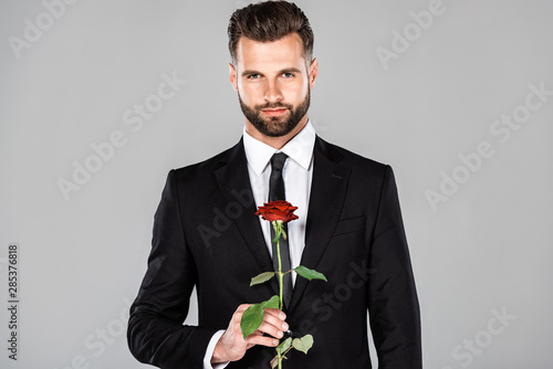 elegant businessman in black suit with red rose isolated on grey