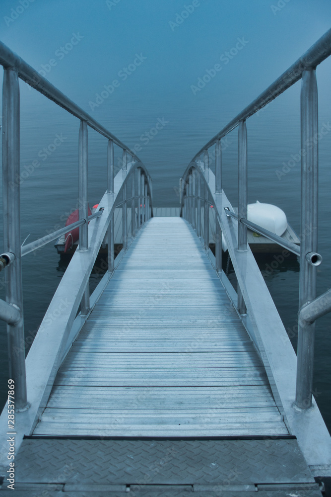 Obraz premium Outside nature photo featuring walkway leading to a dock that is peaceful.