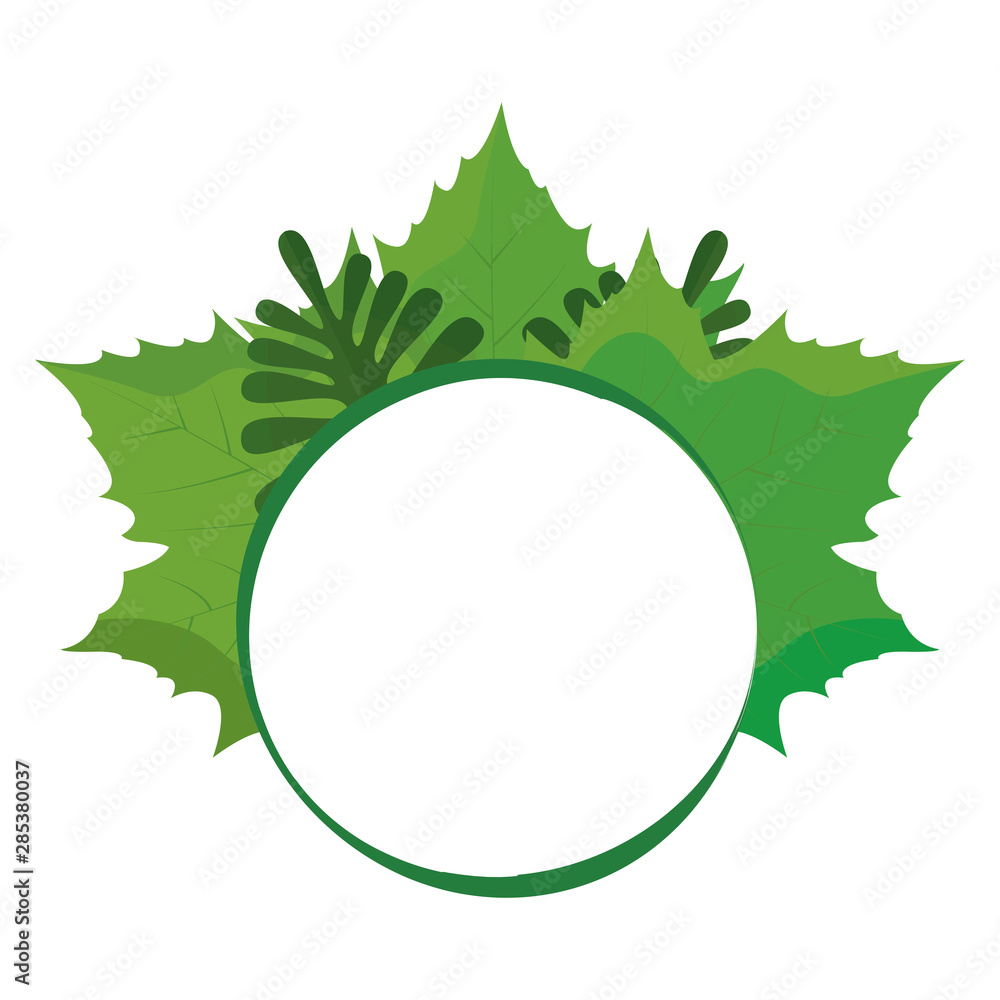 Abstract Green Leaf Abstract Green Leaf