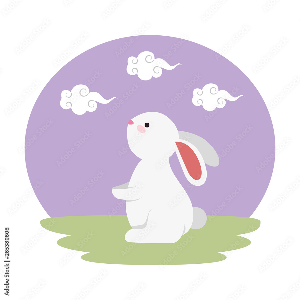 Fototapeta premium cute and little rabbit in the field character