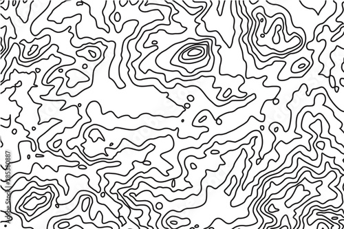 Imitation of a geographical map, black lines on white background, vector design.