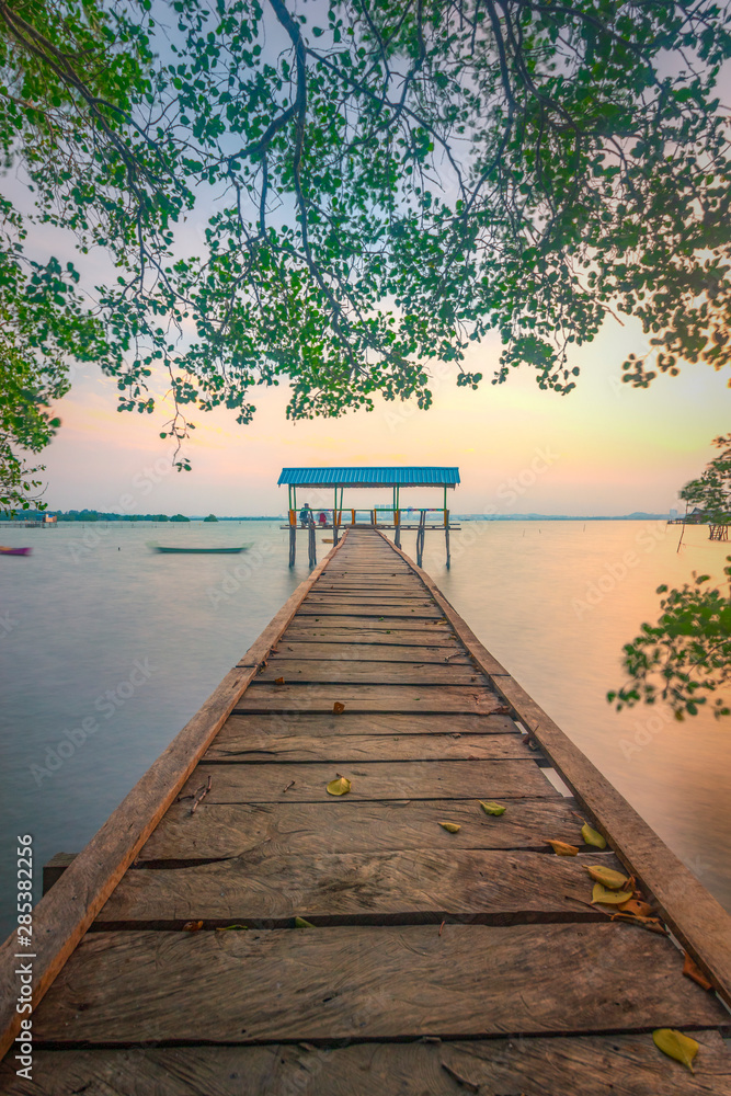 Obraz premium the beauty of the sunset on the mangrove track