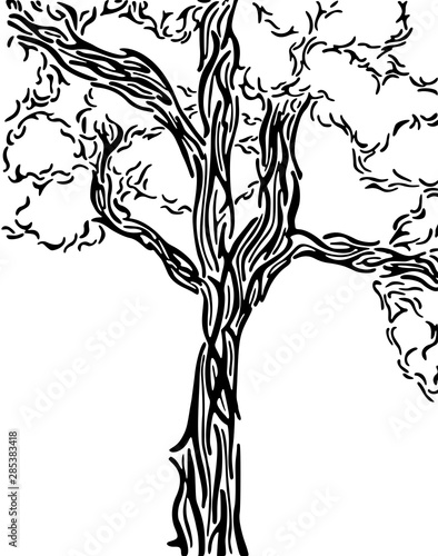 Ink drawing of a tree trunk, vector illustration
