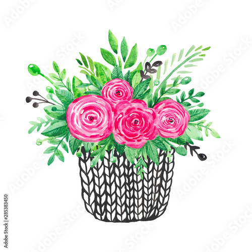 Illustration of hand painted watercolor Decorative flower rose in a pot Blooms plant for the interior of the house