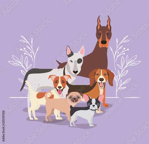 group of dogs pets characters