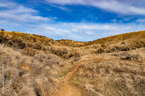 Curvy Desert Trail