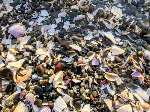 A unique and colorful background collage of rocks and shells from a beach. 
