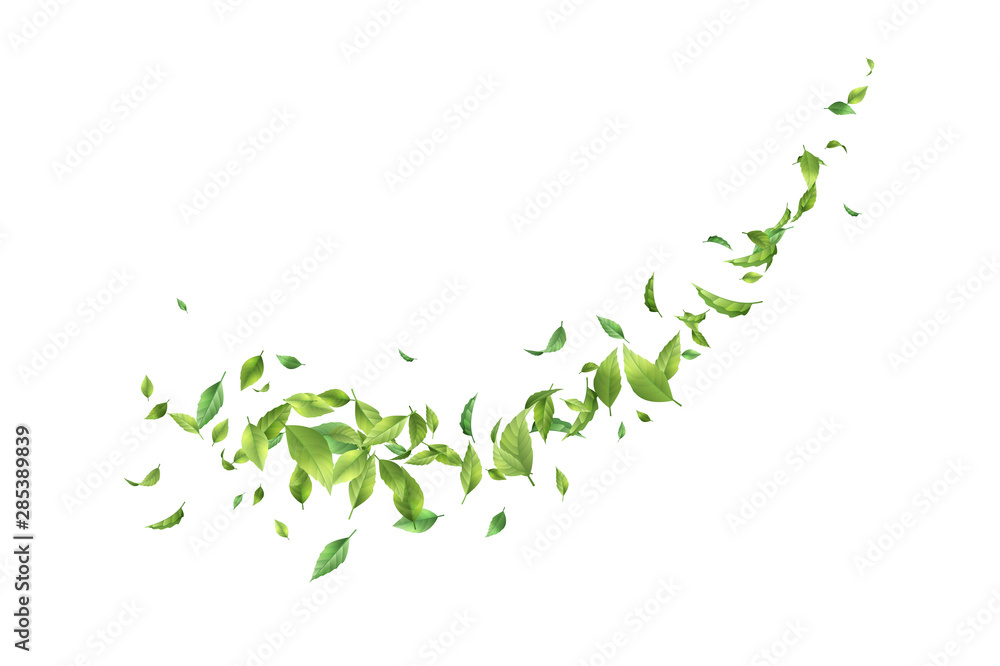 Greens Leaf Whirling in the Wind - obrazy, fototapety, plakaty 