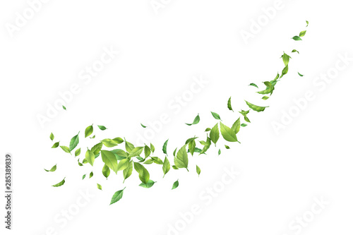 Greens Leaf Whirling in the Wind