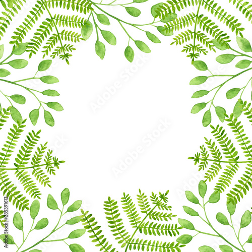 Watercolor green forest fern and eucalyptus leaves frame. Hand drawn square b...