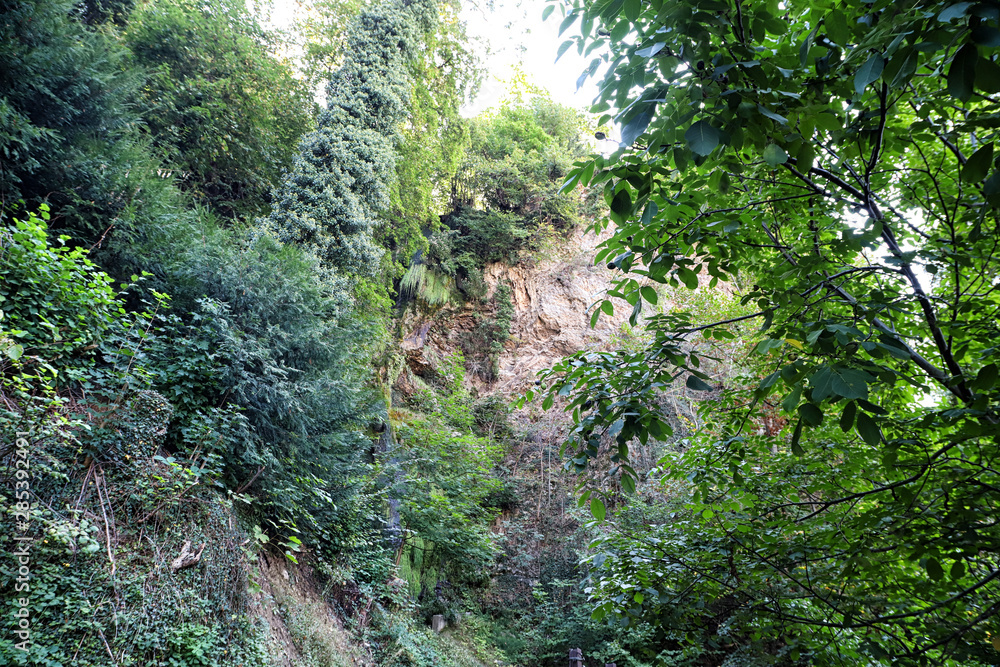 Stone tops of mountains with green trees Stone tops of mountains with green trees