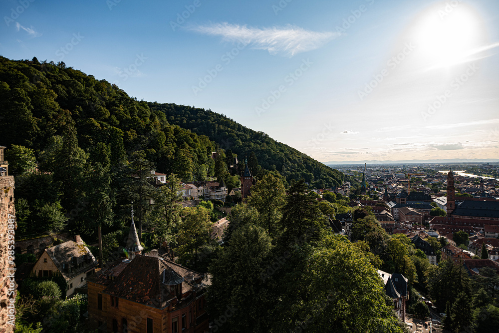 Fototapeta premium Heidelberg Panorama