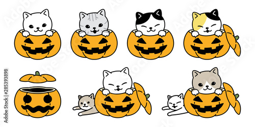 cat vector pumpkin Halloween icon kitten calico breed logo symbol character cartoon illustration doodle design