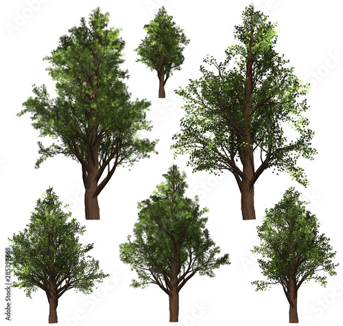 Green Forrest tree background. 3D Illustration. White background isolate. Nature and Gardens design.
