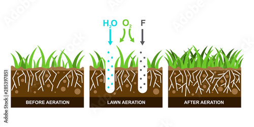 Vector illustration with lawn aeration.
