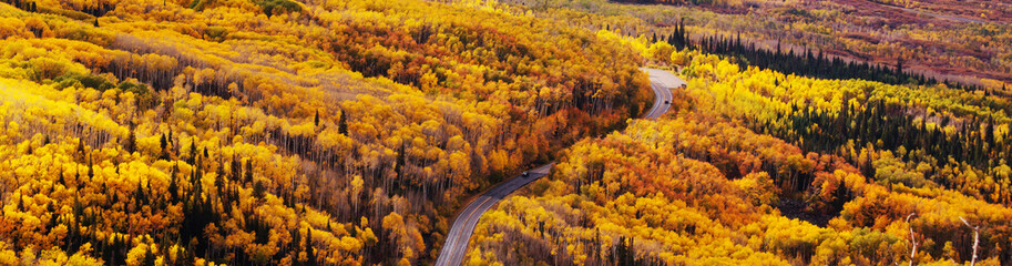 Autumn in Colorado