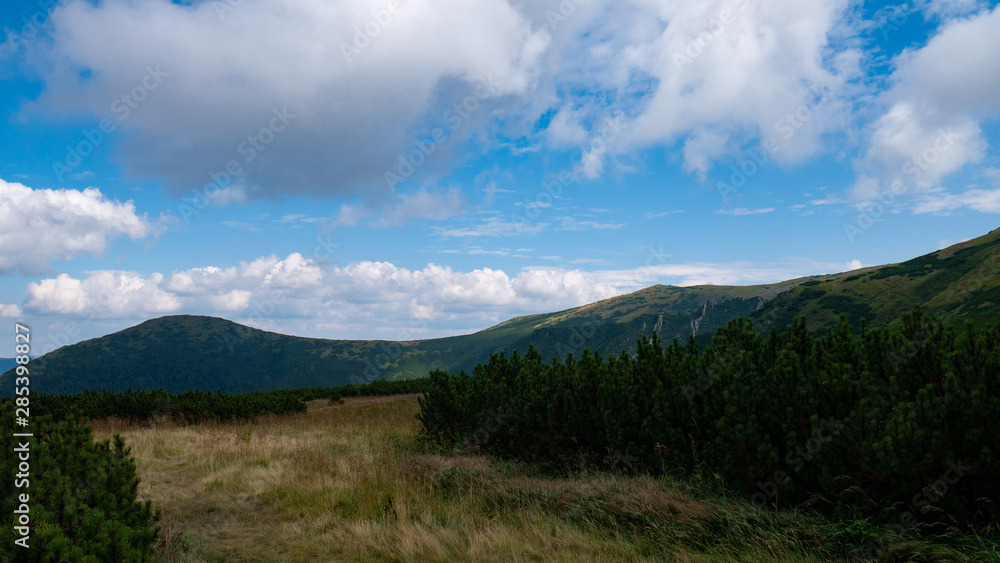 Mountain valley during sunrise / sunset. Natural summer landscape. Colorful summer landscape in the Carpathian mountains. Mountain valley during sunrise / sunset. Natural summer landscape. Colorful summer landscape in the Carpathian mountains.