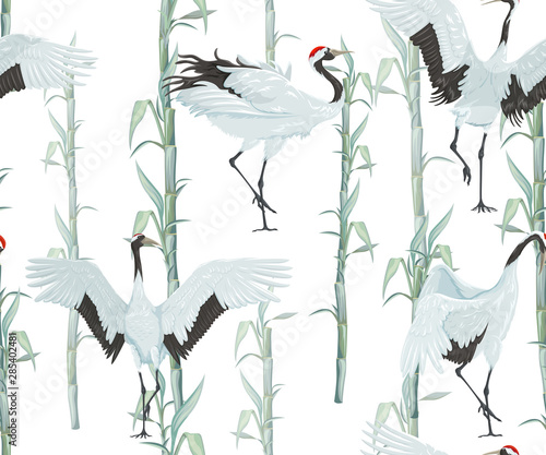 Seamless pattern with bamboo and Chinese crane