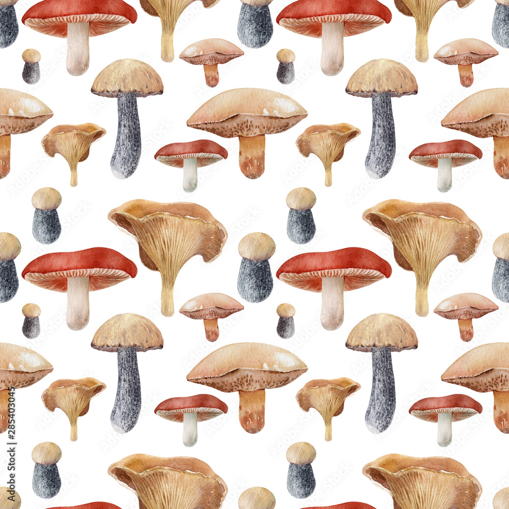 Watercolor background with different kinds of mushrooms