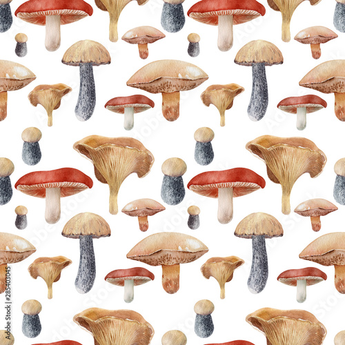 Watercolor background with different kinds of mushrooms